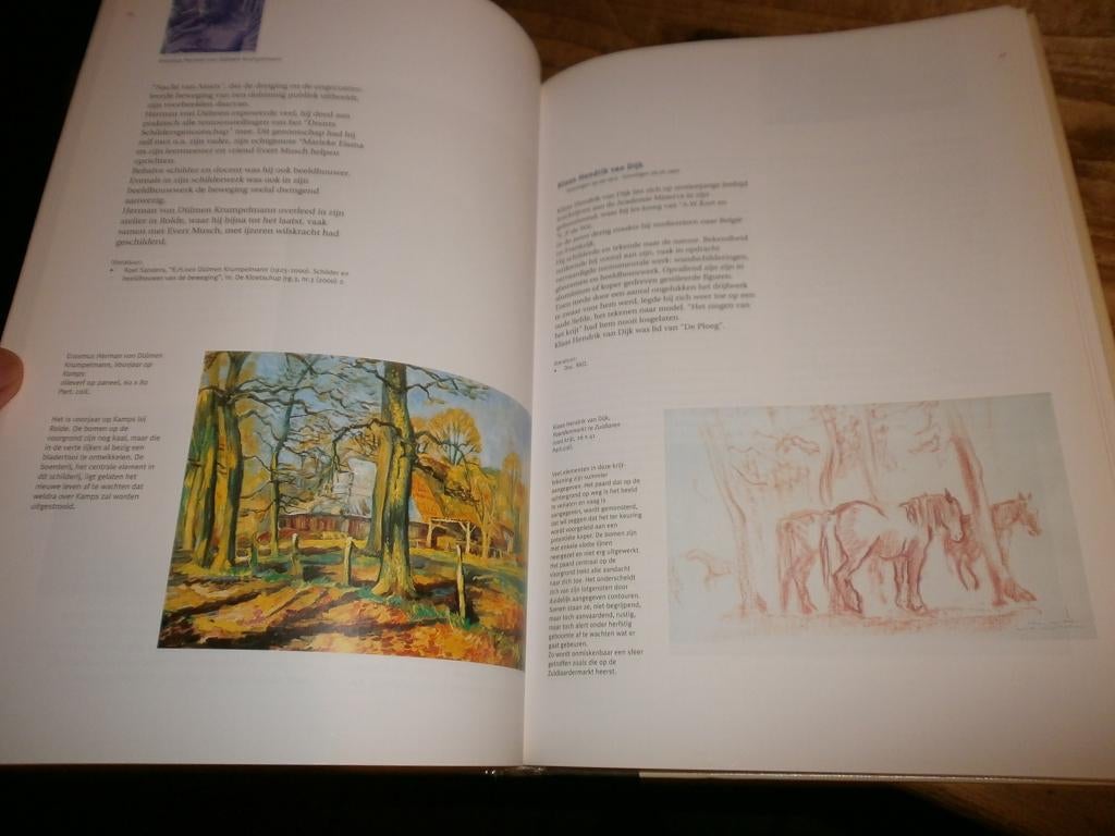 schilders van drenthe mooi boek afbeeldingen schilderijen, Ophalen of Verzenden, Nieuw