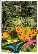 Ansichtkaart	Emmen	Noorder Dierenpark	Biochron	5-luik, Verzenden, 1980 tot heden, Gelopen, Drenthe