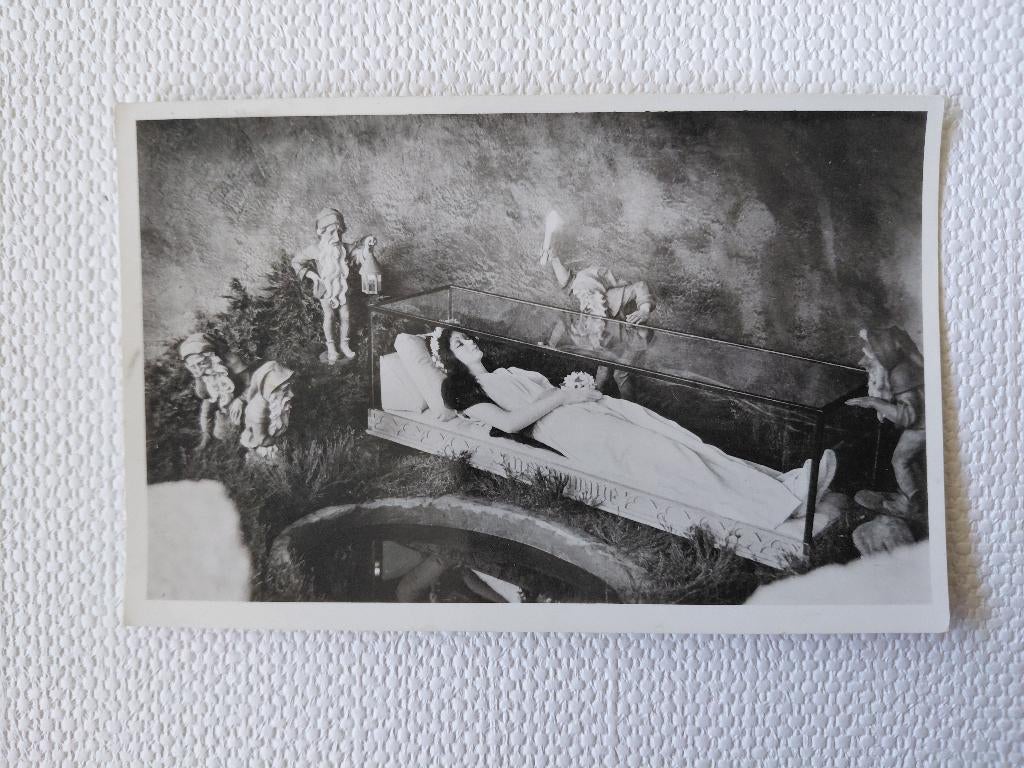 Efteling, glans fotokaart, sneeuwwitje, gelopen, jaren '50, Verzenden, 1940 tot 1960, Gelopen, Sterren en Beroemdheden