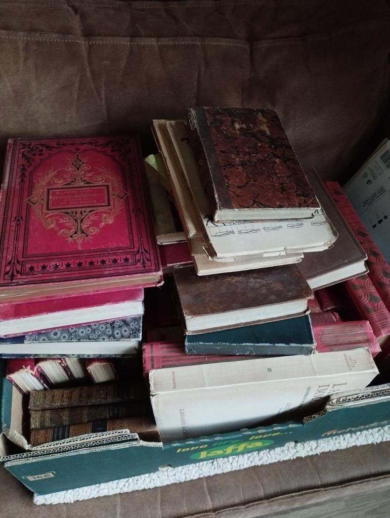 Oude Franse boeken, meeste rond 1850, Antiek en Kunst, Antiek | Boeken en Bijbels, Ophalen of Verzenden, Diverse Franse auteurs