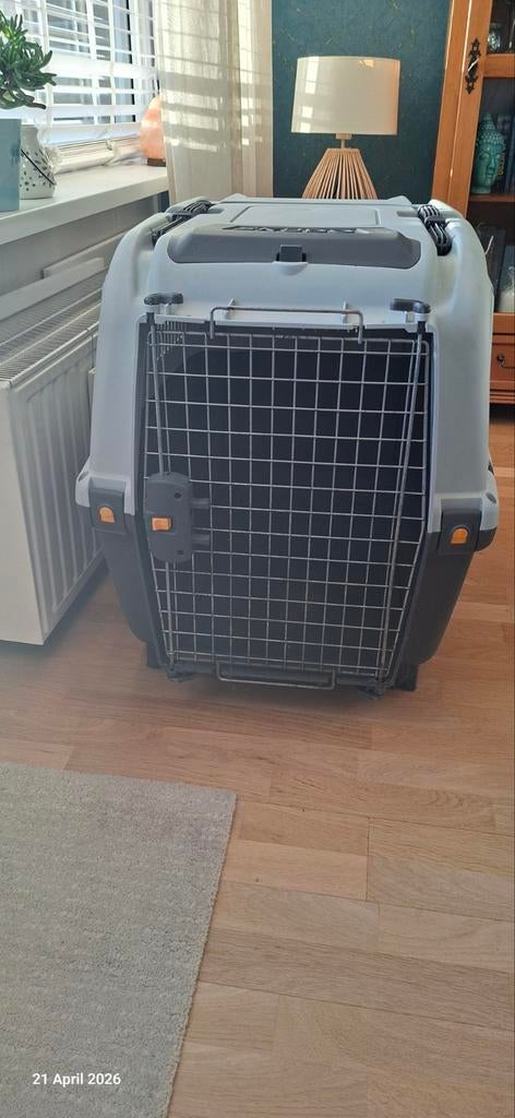 Hond Reisbench, Ophalen