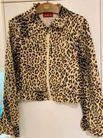 Kort voorjaars tijger jasje van Replay, Ophalen of Verzenden, Zo goed als nieuw, Maat 36 (S)