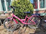 20 inch meisjes Batavus fiets met "lichtgevende wielen", Ophalen of Verzenden, Gebruikt, 20 inch