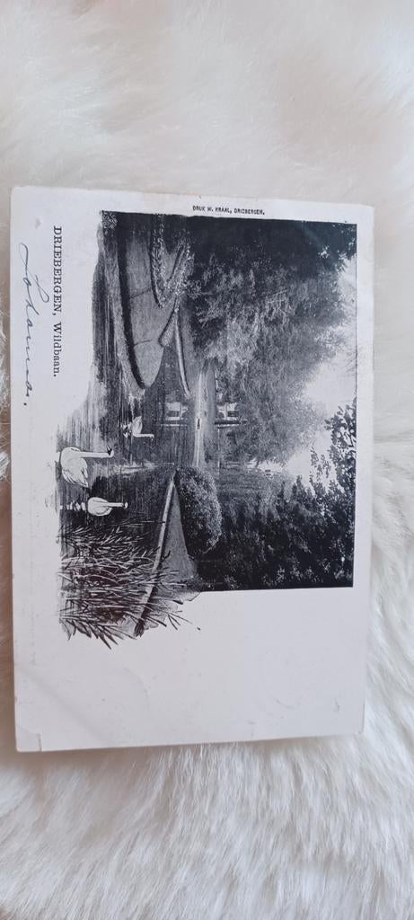 Oude Ansichtkaart Driebergen, Wildbaan - Gelopen 1922, Verzamelen, Ophalen of Verzenden, 1920 tot 1940, Gelopen, Utrecht