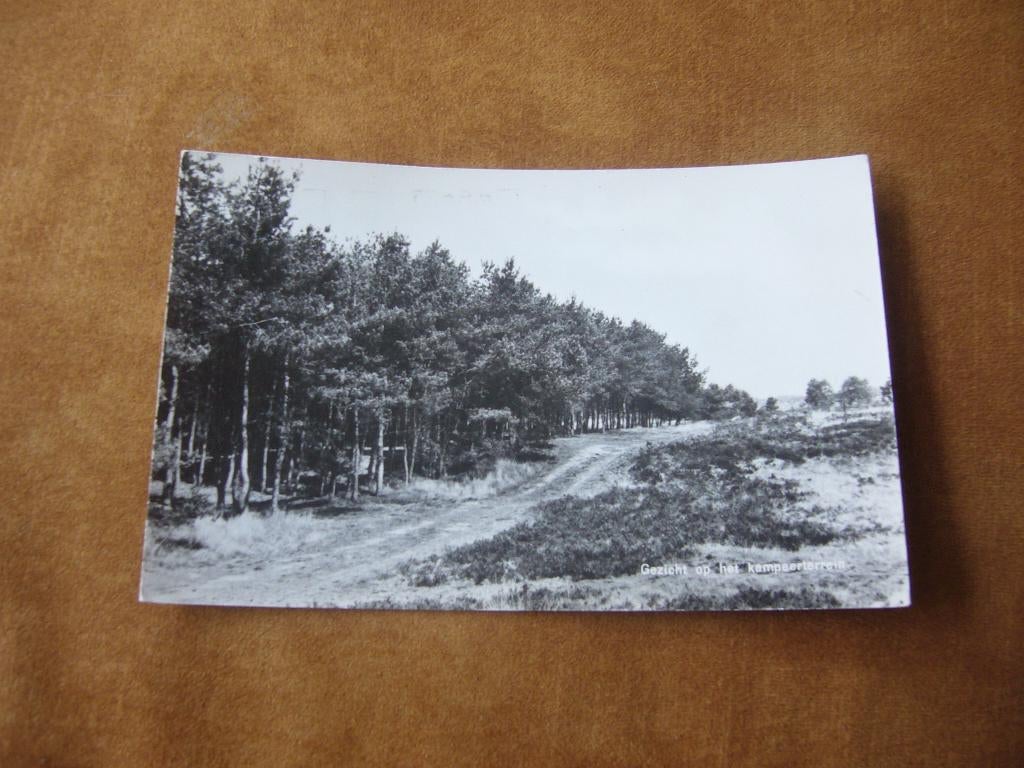 SPIER  DR.  =  SONNEVANCK - GEZICHT OP HET KAMPEERTERREIN, Ophalen of Verzenden, 1940 tot 1960, Gelopen, Drenthe
