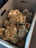 Partij prachtige maanstenen, Ophalen of Verzenden, Nieuw, Sierelement