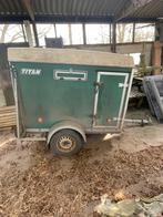 Titan veekar, Geslacht onbekend, Schaap