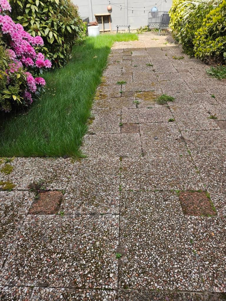 Gratis grindtegels, Ophalen, Gebruikt, Beton, Terrastegels