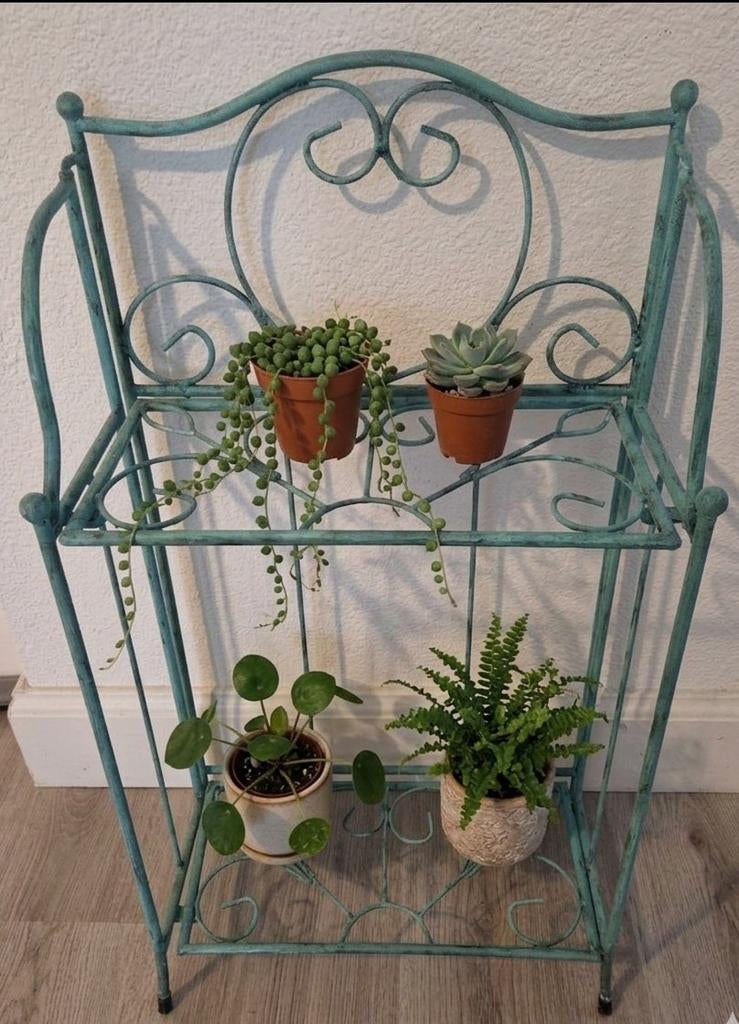 Plantenrekje, Antiek en Kunst, Ophalen