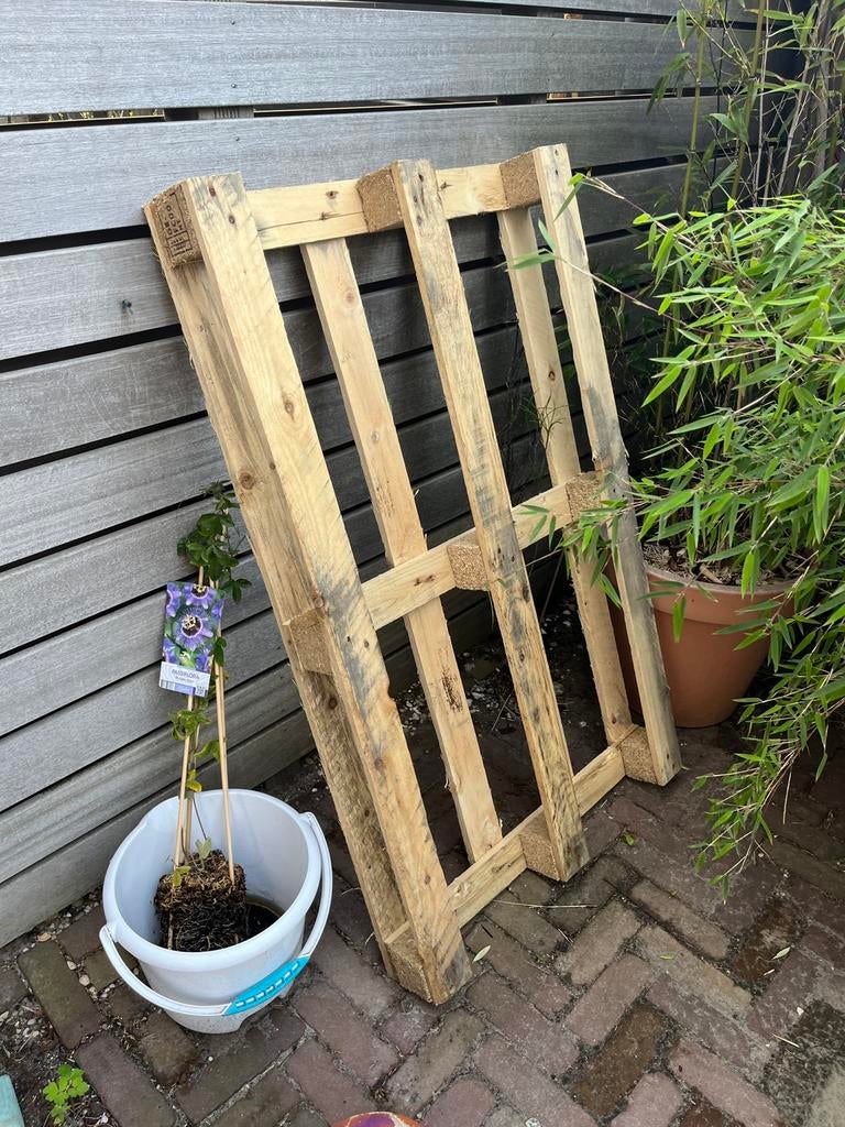 Pallet gratis, Ophalen, Zo goed als nieuw, 50 mm of meer, Minder dan 200 cm