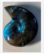 Labradoriet ammoniet vorm geslepen voor/achterzijde, Nieuw, Ophalen of Verzenden, X, X