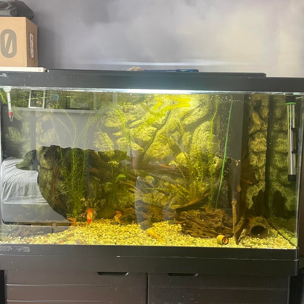 Aquarium, Ophalen of Verzenden, Zo goed als nieuw, Leeg aquarium