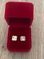 14 karaat gouden oorbellen gemerkt 585, -, -, Nieuw, Ophalen of Verzenden