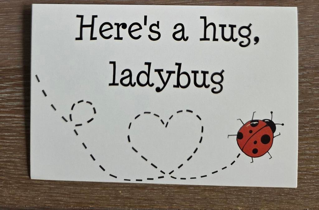 LIEVEHEERSBEESTJE,  meerdere beschikbaar, Ophalen, 1980 tot heden, Hond of Kat