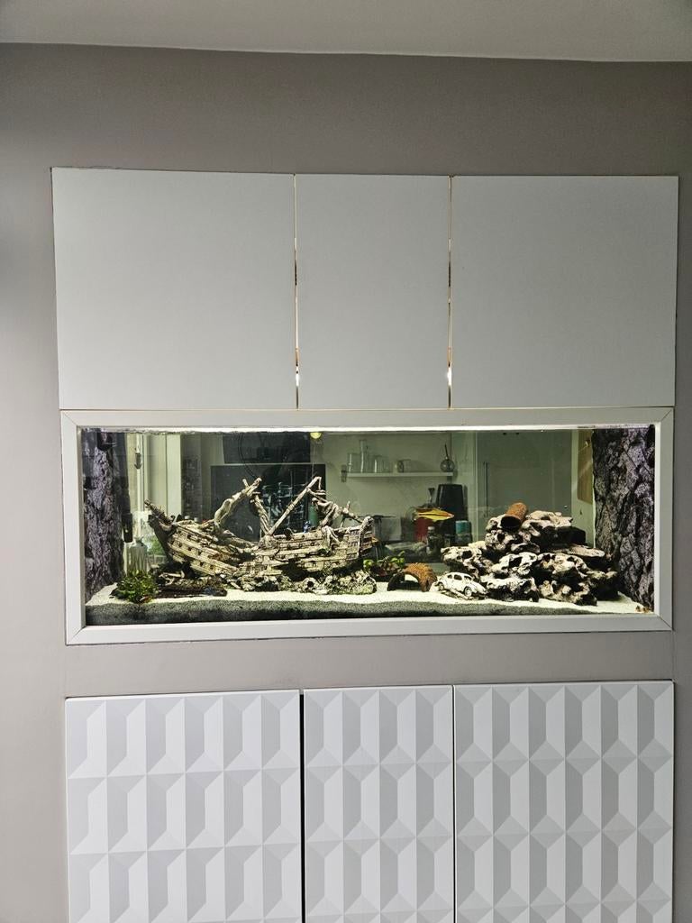 Aquarium 160x50x60, Dieren en Toebehoren, Vissen | Aquaria en Toebehoren, Ophalen, Gebruikt, Leeg aquarium