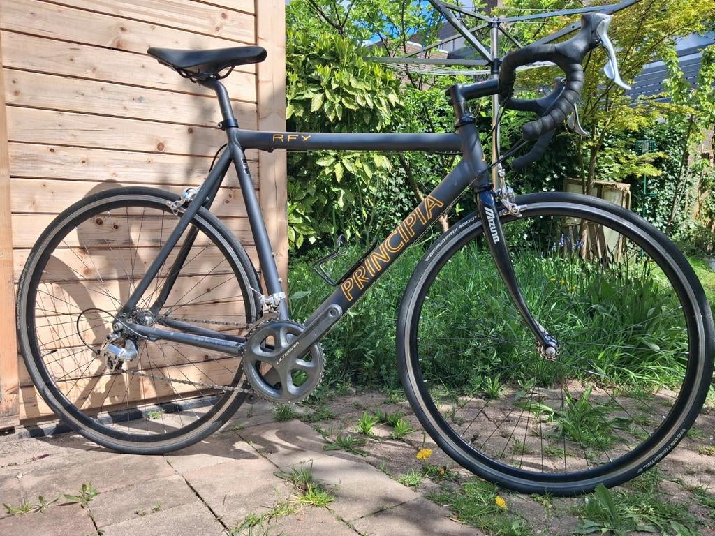 Principia Rex, Aluminium, Meer dan 20 versnellingen, 53 tot 57 cm, Ophalen