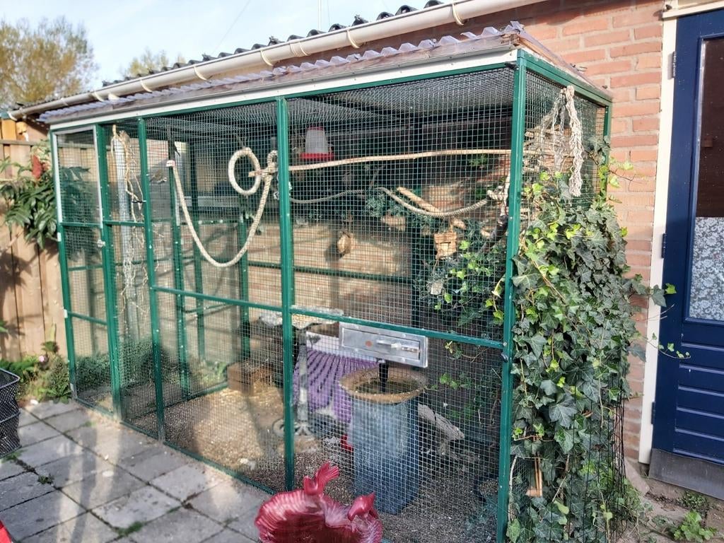 Volière aluminium 3m lang x 1.85m hoog x 1m diep, Dieren en Toebehoren, Vogels | Hokken en Kooien, Ophalen, Aluminium, Volière