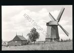 Schermerhorn - Westelijke middel Molen [003-4943, Ophalen of Verzenden, 1940 tot 1960, Ongelopen, Noord-Holland
