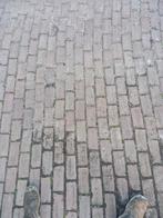 Broodjes donkerrood, Ophalen of Verzenden, Nieuw, Beton, Klinkers