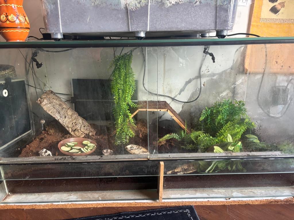 Terrarrium met schuifdeuren, Ophalen, Zo goed als nieuw