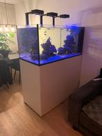 AQUARIUM RED SEA 500 L, Dieren en Toebehoren, Vissen | Aquaria en Toebehoren, Ophalen, Zo goed als nieuw, Gevuld zeewateraquarium
