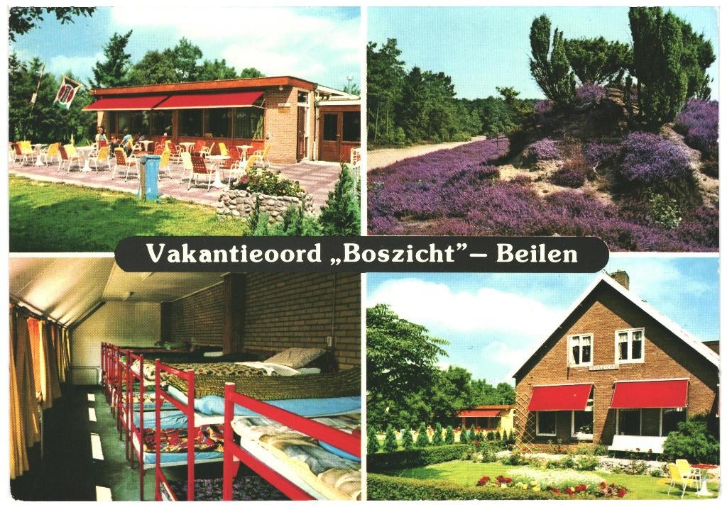 992184 Beilen D 80+ Vakantieoord Boszicht Gelopen met zegel, Ophalen of Verzenden, 1980 tot heden, Gelopen, Drenthe