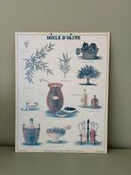 Vintage schoolplaat olijfolie 62x48cm, Ophalen of Verzenden, Overige thema's