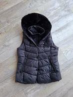 Gaastra bodywarmer, Gaastra, Zwart, Maat 42/44 (L), Ophalen of Verzenden