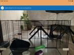 Hamster knaagdier kooi, Dieren en Toebehoren, Minder dan 60 cm, Kooi, Minder dan 75 cm, Ophalen of Verzenden
