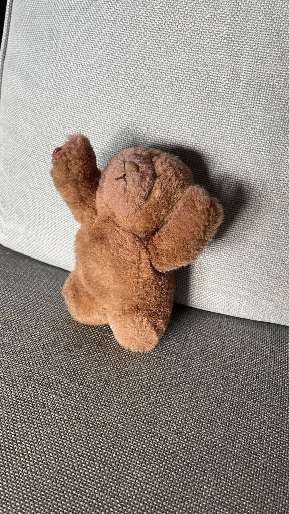 Pluche beertje, Ophalen of Verzenden, Gebruikt, Beer, Klein (minder dan 20 cm)
