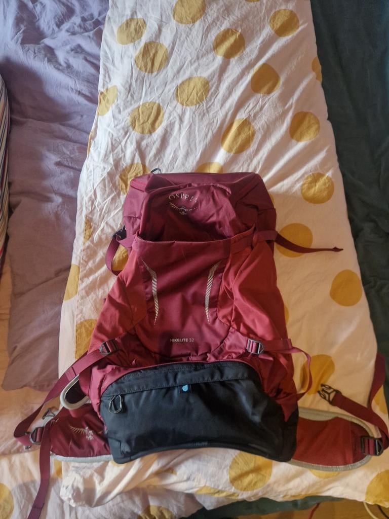 Osprey Hikelite 32 unisex, Ophalen of Verzenden, Nieuw, Overige merken, 45 tot 60 cm