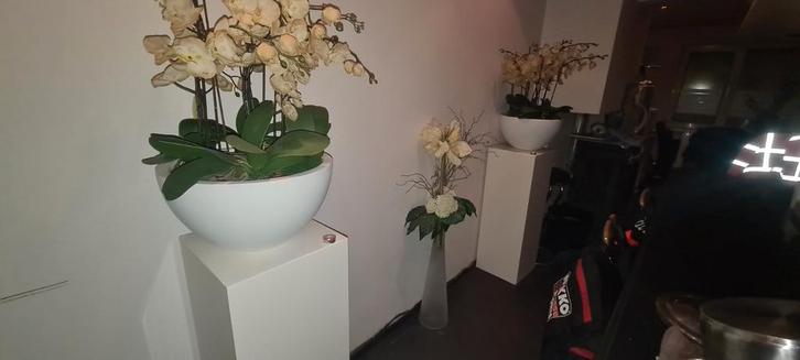 2x Hoogglans Witte Zuilen - Decoratieve Sokkels, Huis en Inrichting, Woonaccessoires | Zuilen en Pilaren, Gebruikt, Ophalen of Verzenden