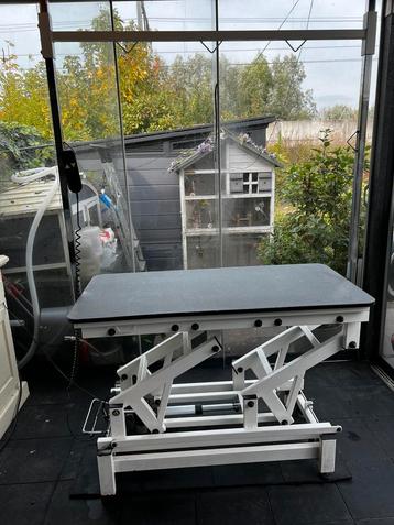 Proffesionele electrische trimtafel Elektrisch Emperor IIW beschikbaar voor biedingen