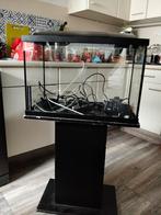 70 liter aquarium, Ophalen, Zo goed als nieuw, Leeg aquarium