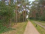 bosgrond of bosperceel kopen?, Tuin en Terras, Ophalen, Nieuw