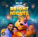 4 tickets voor Walibi bright nights op zat 3 jan, Drie personen of meer, Ticket of Toegangskaart