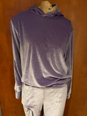 Foshan city huispak  maat s zgan beschikbaar voor biedingen