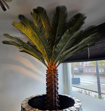 NIEUW UNIEK GROTE KUNST PALMBOOM 160CM ERIC ERIK KUSTER  beschikbaar voor biedingen