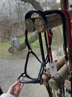 Catago leren halster navy full, Ophalen of Verzenden, Nieuw, Overige soorten