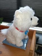 Rutger, Thomas & Paco hond knuffel, Ophalen of Verzenden, Hond