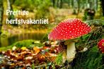 Vakantie 18-10 tot 26-10, Alle leeftijden, Ophalen of Verzenden, Zo goed als nieuw
