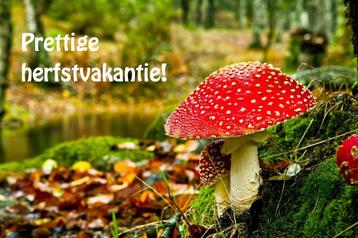 Vakantie 18-10 tot 26-10 beschikbaar voor biedingen