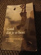 Goed dat je er bent - Sarina Brons, Ophalen of Verzenden, Gelezen, Overige onderwerpen, Sarina Brons-van der Wekken
