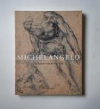 kunstboek Michelangelo de hand van een genie Chapman, Ophalen of Verzenden, Zo goed als nieuw, Hugo Chapman