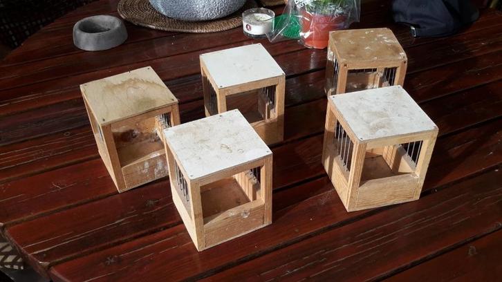 Te koop broed kooien, Dieren en Toebehoren, Vogels | Hokken en Kooien, Gebruikt, Vogelkooi, Hout, Ophalen of Verzenden