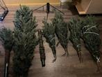 Speciale kerstboom plus toebehoren, Ophalen, Gebruikt