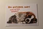 Katten Postkaart - Boxer Pup en Kitten slapen samen, Germany, Verzamelen, Ansichtkaarten | Dieren, Ongelopen, Verzenden, 1980 tot heden
