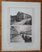 Litho / steendruk 1920: Albers Creameries - Dordrecht, Gebruikt, Ophalen of Verzenden, Voor 1940