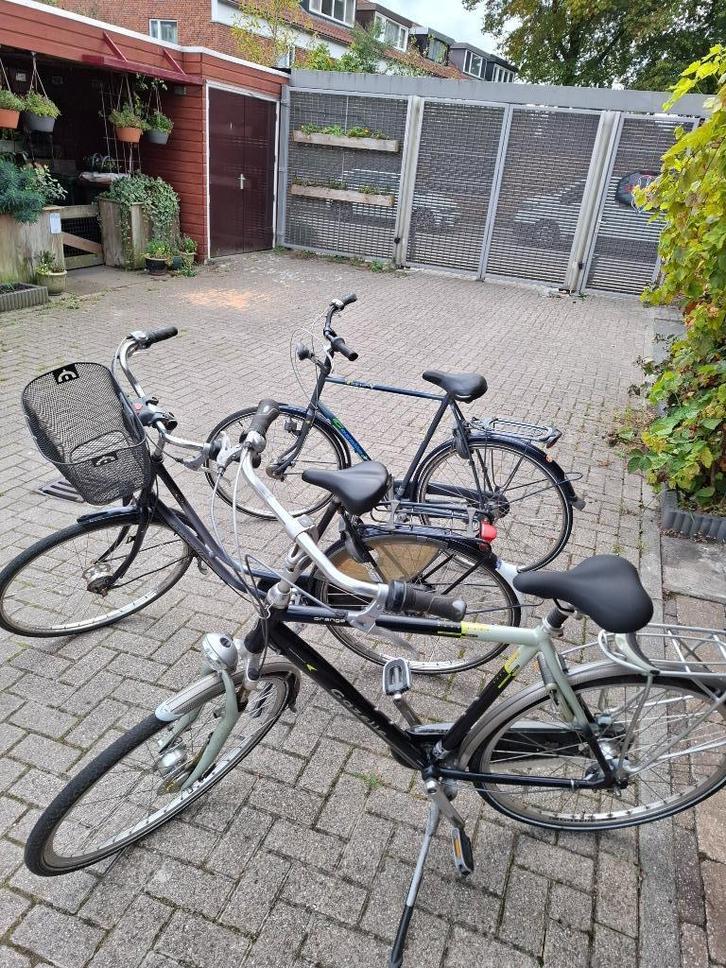 Stationsfietsen, Fietsen en Brommers, Fietsen | Dames | Damesfietsen, Gebruikt, Gazelle, 53 tot 56 cm, Ophalen