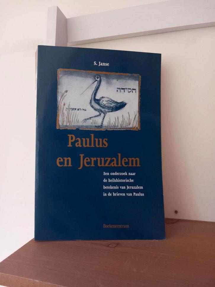 Paulus en Jeruzalem - S. Janse - Theologie, Boeken, Godsdienst en Theologie, Gelezen, Christendom | Protestants, Jodendom, Ophalen of Verzenden